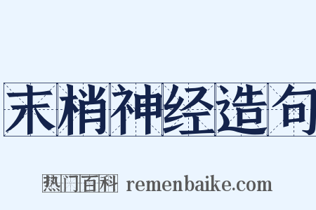 末梢神经造句是什么意思的图片